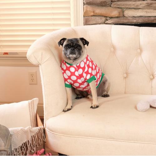 2023 Blank Christmas Pajamas - DOG