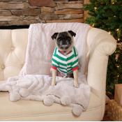 2021 Blank Christmas Pajamas - DOG