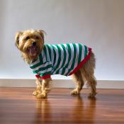 IMPERFECT  Blank Christmas Pajamas - DOG
