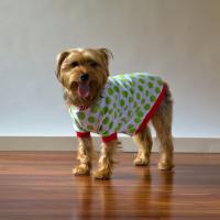 IMPERFECT  Blank Christmas Pajamas - DOG