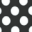 Black Polka Dot